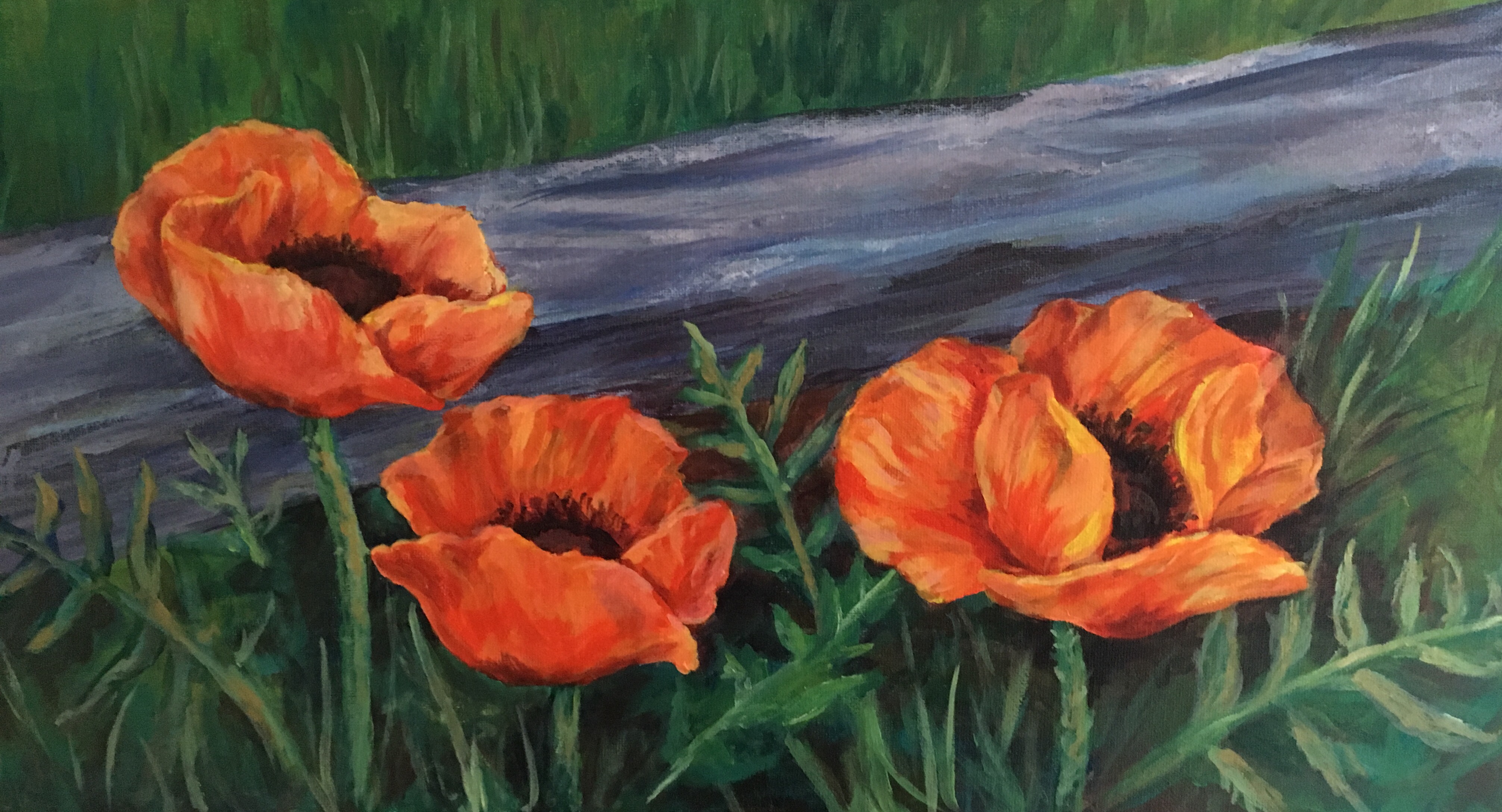 Poppies